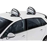 Cruzber 399940293 Portaesquís Magnético Aconcagua